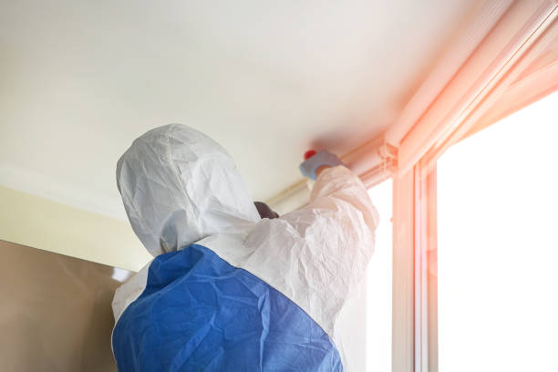 Biohazard Mold Removal in Onarga, IL